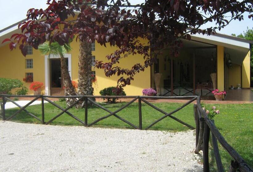 Номер Стандарт, B & B Oasi