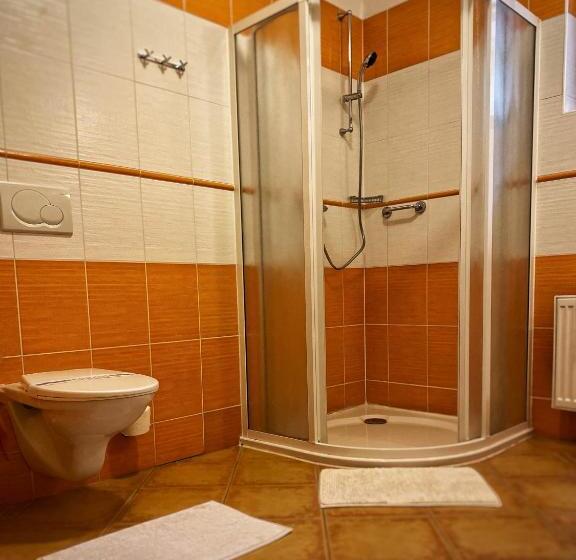 Четырехместный Номер Стандарт, Horský Hotel Sněženka