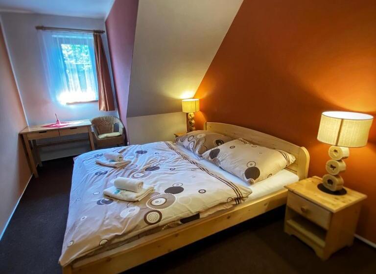 Четырехместный Номер Deluxe, Horský Hotel Sněženka