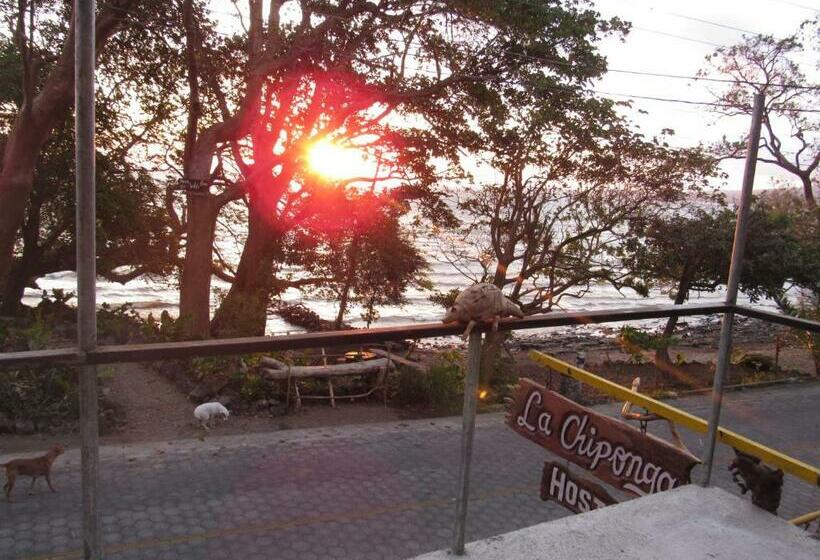 带1个卧室带花园景观的公寓, Hostal Eco Lodge La Chiponga