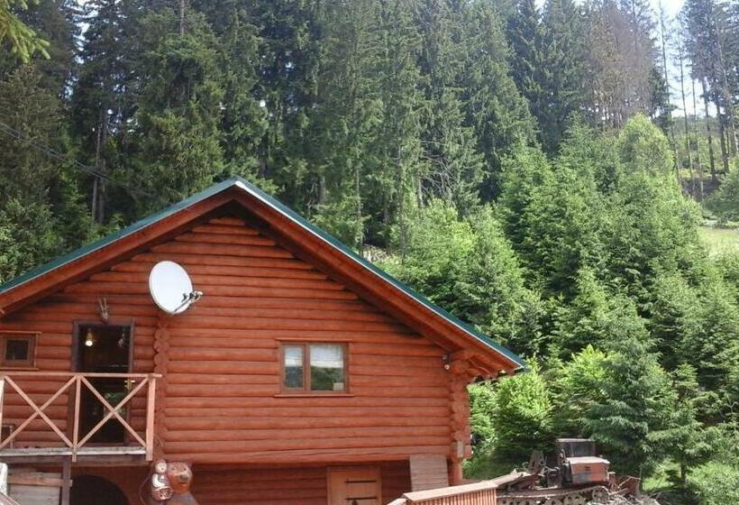 Номер Стандарт, Farmstead Lisova