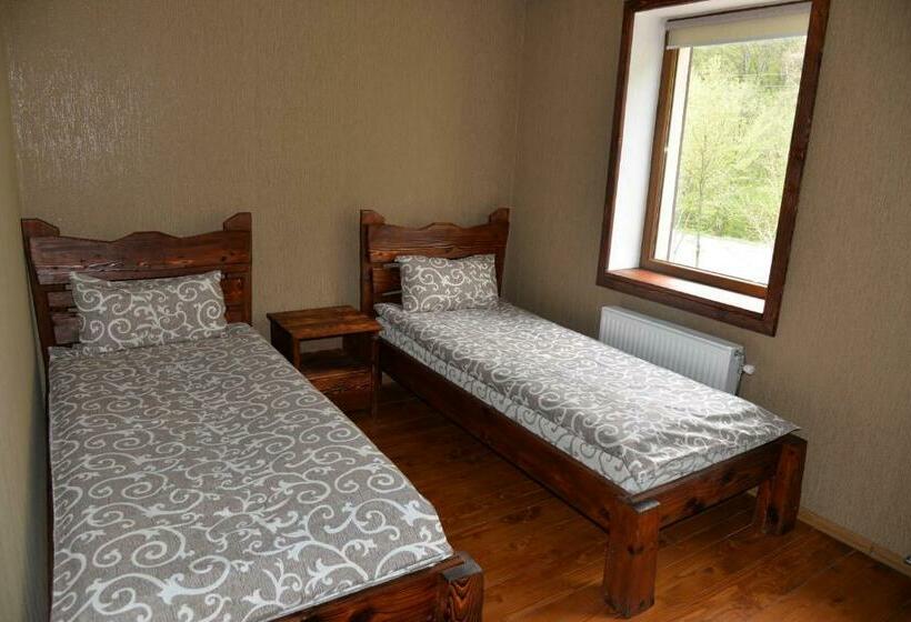 Номер Стандарт, Syni Potoky