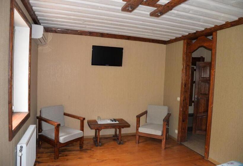 Номер Стандарт, Syni Potoky