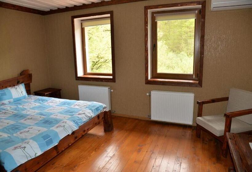 Номер Стандарт, Syni Potoky