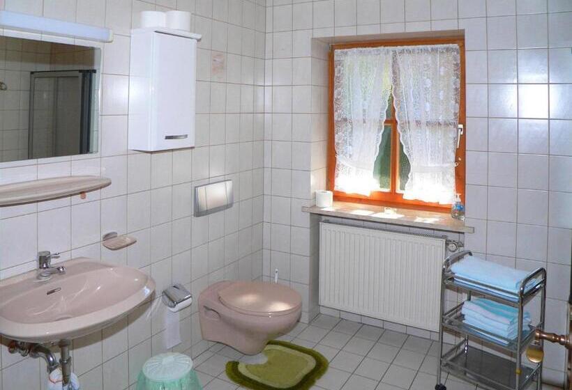 Апартаменты 1 Спальня с Балконом, Gasthof   Pension Zur Post
