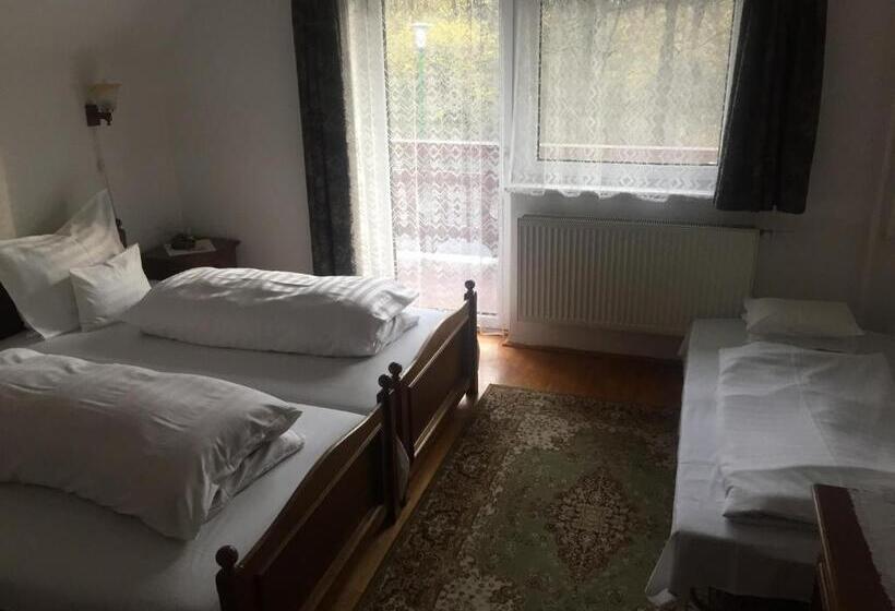 Номер Superior Вид на Горы, Zseri Vadászház