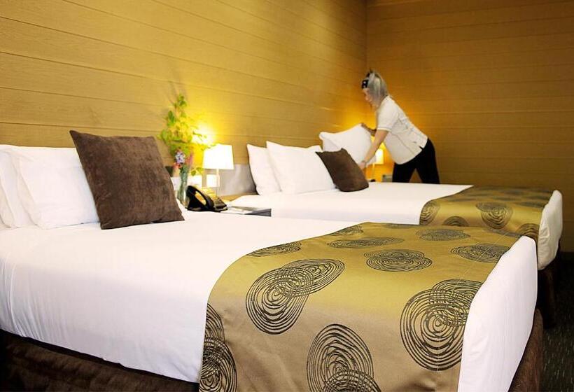 Номер Стандарт, Trip Motel Gatton
