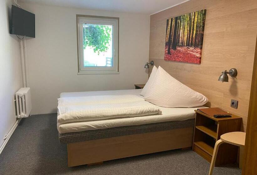 اتاق استاندارد, Penzion Logla