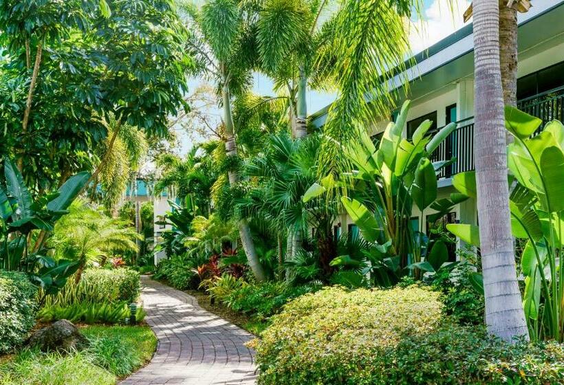 Büyük Çift Kişilik Yataklı Delüks Oda, Coco Key Hotel & Water Park Resort