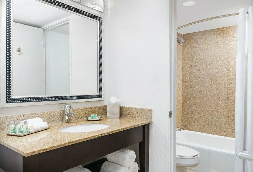 Номер Deluxe, Coco Key Hotel & Water Park Resort