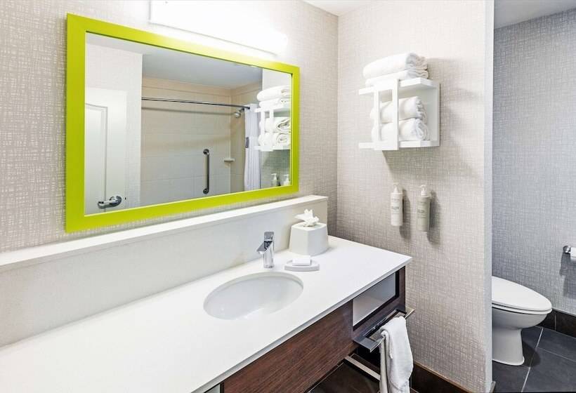 スイート, Hampton Inn & Suites Houston Heights I 10