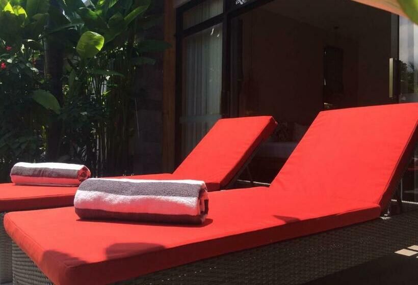 Номер Deluxe, Le Chien Rouge