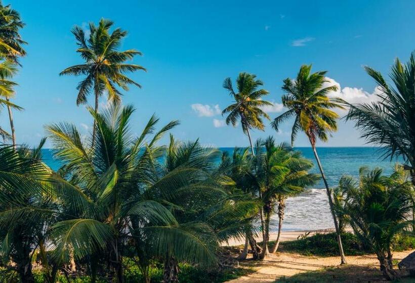 اتاق سوپریور با چشم‌انداز دریا, Iberostar Waves Bahia - All Inclusive