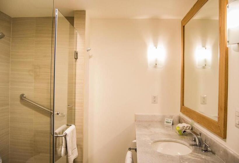 Chambre Standard, Holiday Inn Hotel & Suites Centro Historico, An Ihg