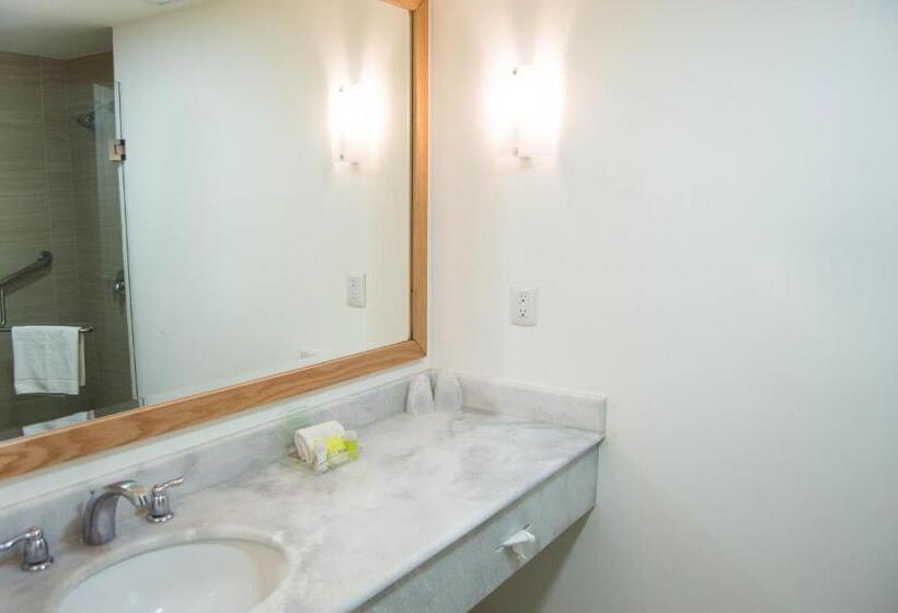Chambre Standard Lit King Size, Holiday Inn Hotel & Suites Centro Historico, An Ihg