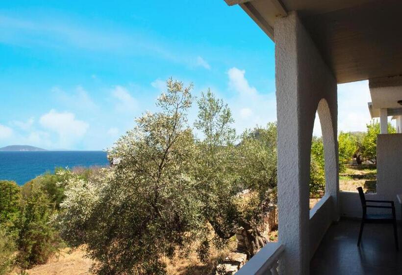 Бунгало Стандарт, Phaistos