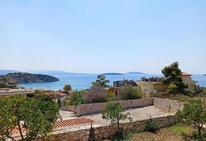Бунгало Стандарт, Phaistos