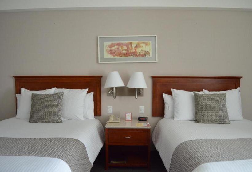 スタンダードルーム, Casa Inn Business Hotel Celaya