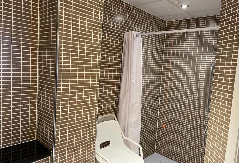 장애인을 위한 스탠다드 룸, Holiday Inn Dumfries, An Ihg
