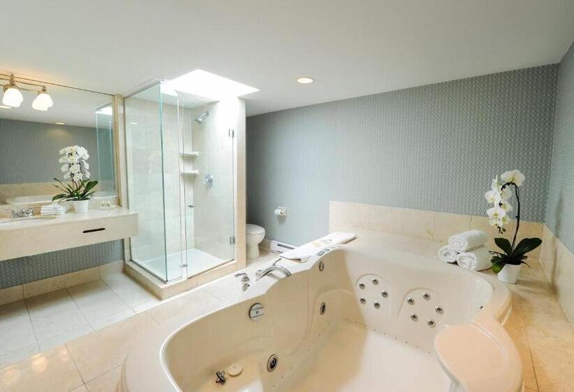 חדר אקזקיוטיב חדר קינג, Holiday Inn Niagara Falls By The Falls, An Ihg