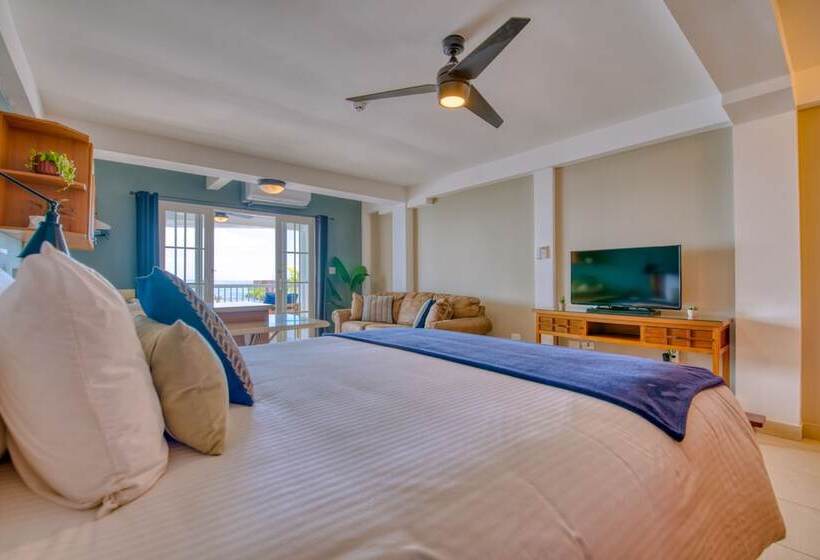 جناح سرير كينج, Tropical Suites