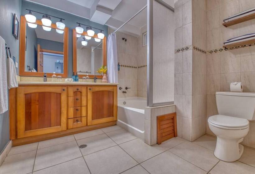 جناح سرير كينج, Tropical Suites