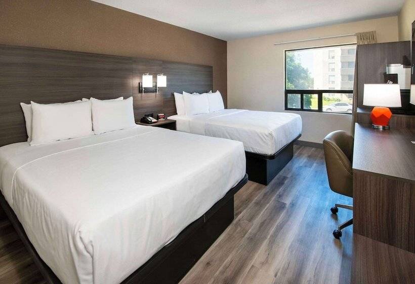带2个双人床的标准工作室, Quality Inn