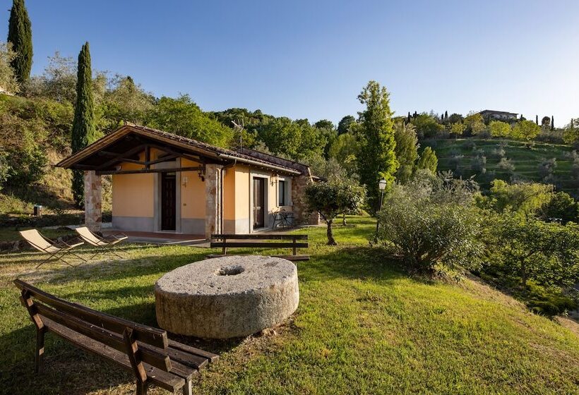 آپارتمان سوپریور 1 خوابه, Il Poggio Degli Olivi