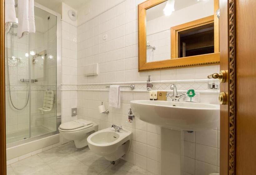 Номер Стандарт Индивидуальный, Gran Baita Hotel & Wellness