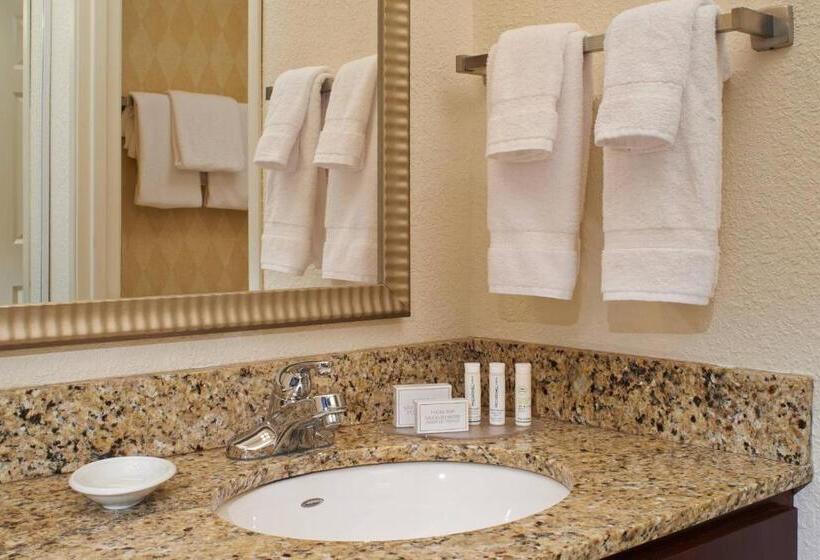 Люкс Кровать Кинг, Residence Inn By Marriott Saginaw
