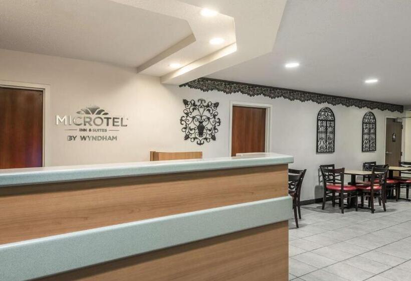 Номер Стандарт, Microtel Inn & Suites By Wyndham Auburn