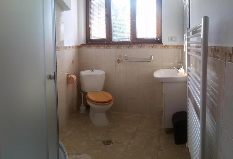 Номер Basic, Casa Bunicului