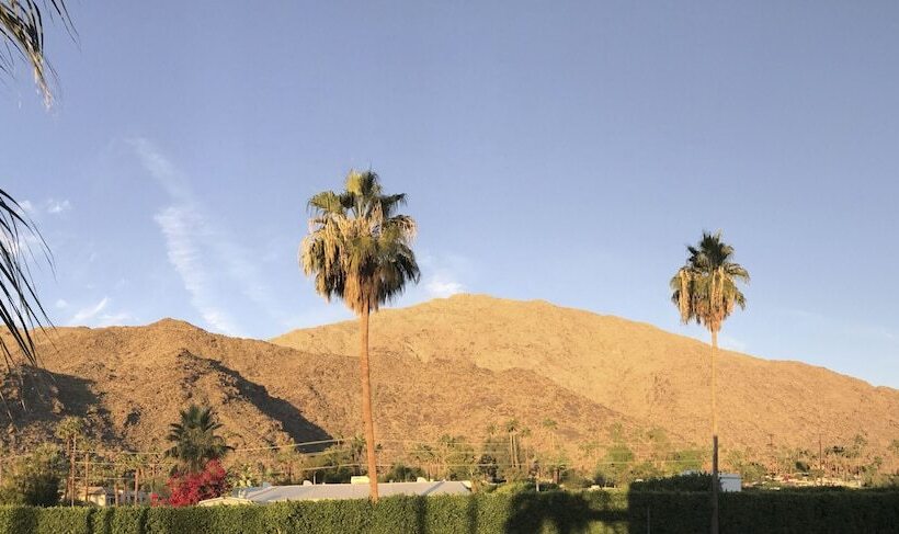 Standard-huone Parivuode, Delos Reyes Palm Springs