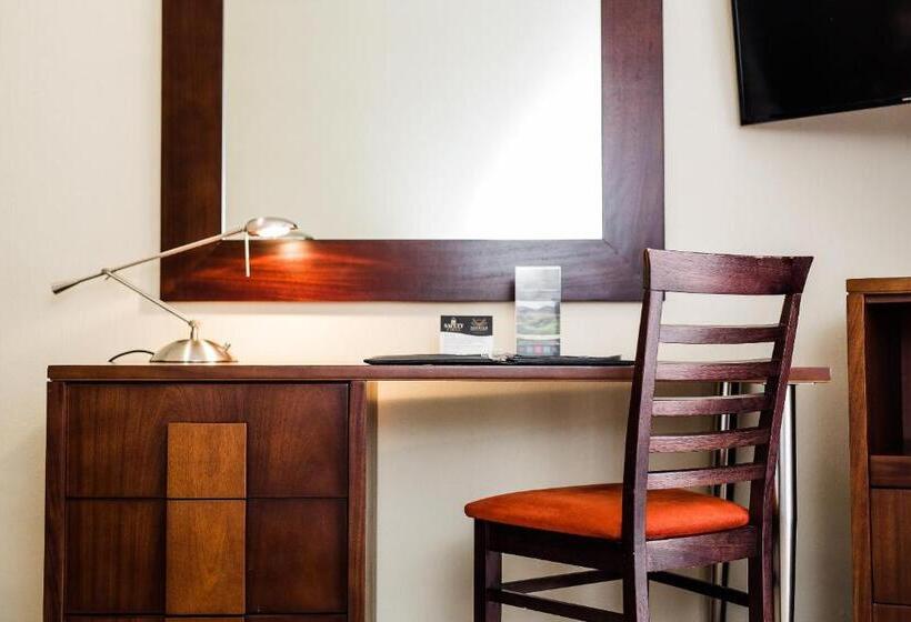 이그제큐티브 룸, Premier Hotel Pretoria