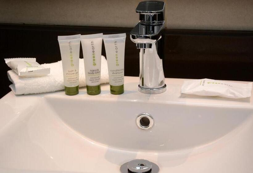 带大床的标准间, Premier Hotel Pretoria