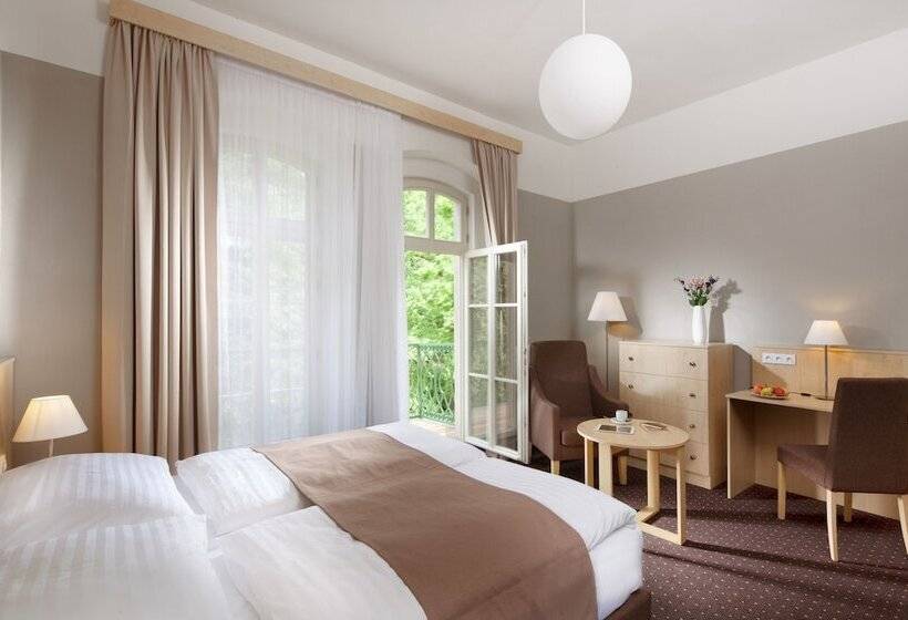 스탠다드 룸, Badenia Hotel Praha