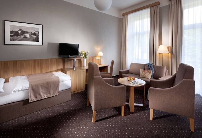 스탠다드 싱글 룸, Badenia Hotel Praha