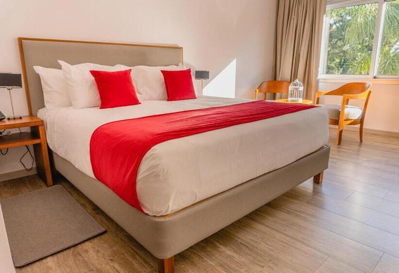 Стандартный Номер Кровать Кинг, Lincoln Green Hotel And Spa   Argentina