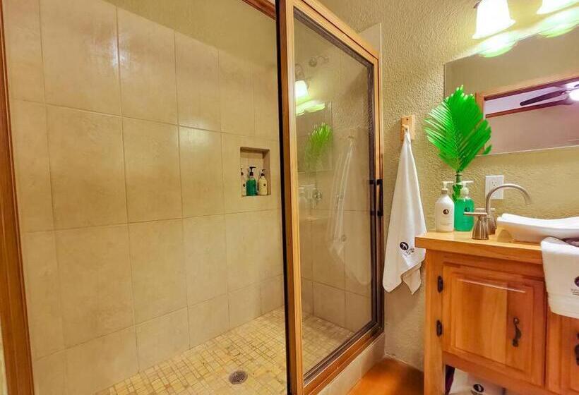 اتاق لوکس با تخت بزرگ, Vive Utila   Bed & Breakfast