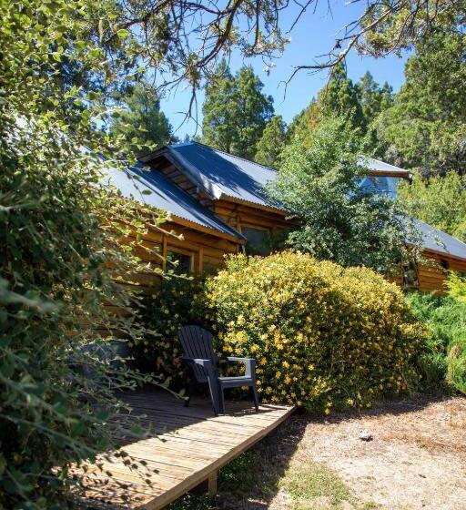 스탠다드 룸, Arrayan Lake View Mountain Lodge & Casa De Te Arrayan