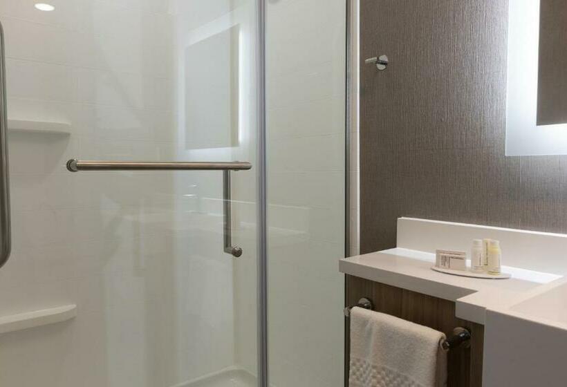 Люкс Кровать Кинг, Springhill Suites By Marriott Slidell