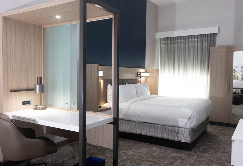 Люкс, Springhill Suites By Marriott Slidell