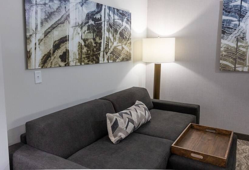 Люкс, Springhill Suites By Marriott Slidell