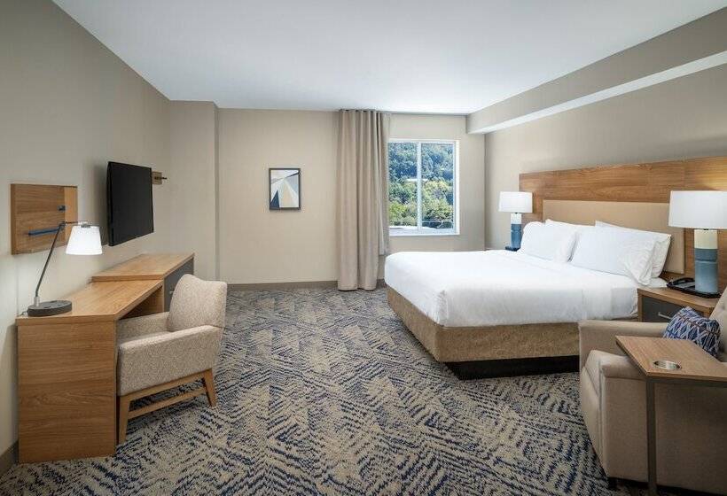 带双人床的标准工作室, Candlewood Suites   Asheville Downtown, An Ihg