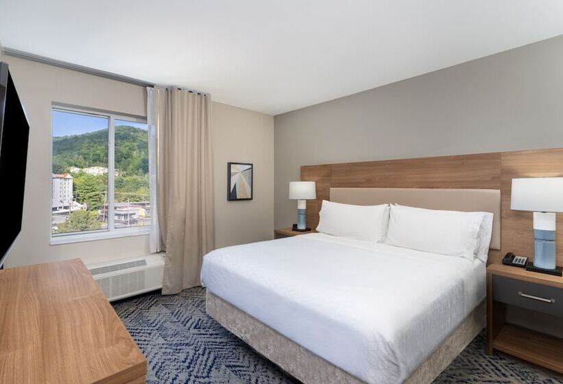 带双人床的标准工作室, Candlewood Suites   Asheville Downtown, An Ihg