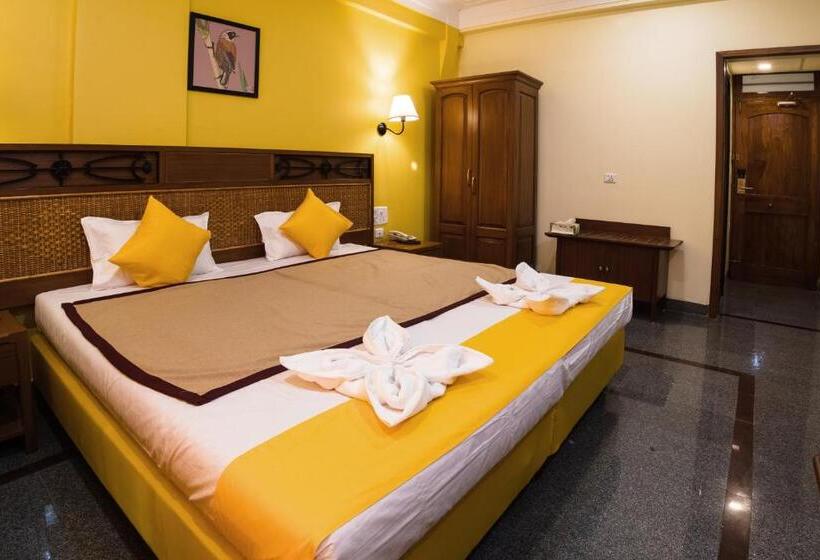 Номер Стандарт без Кондиционера, Raj Resort