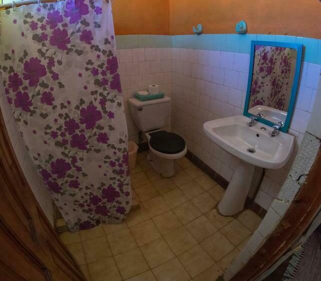 اتاق استاندارد, Bichon La Casa Hostal