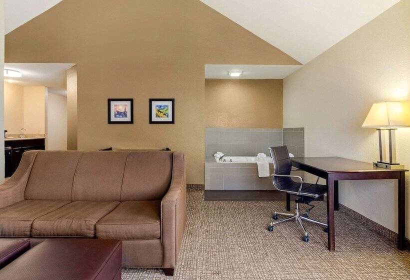Люкс Адаптированный для Инвалидов, Comfort Inn & Suites Greeley