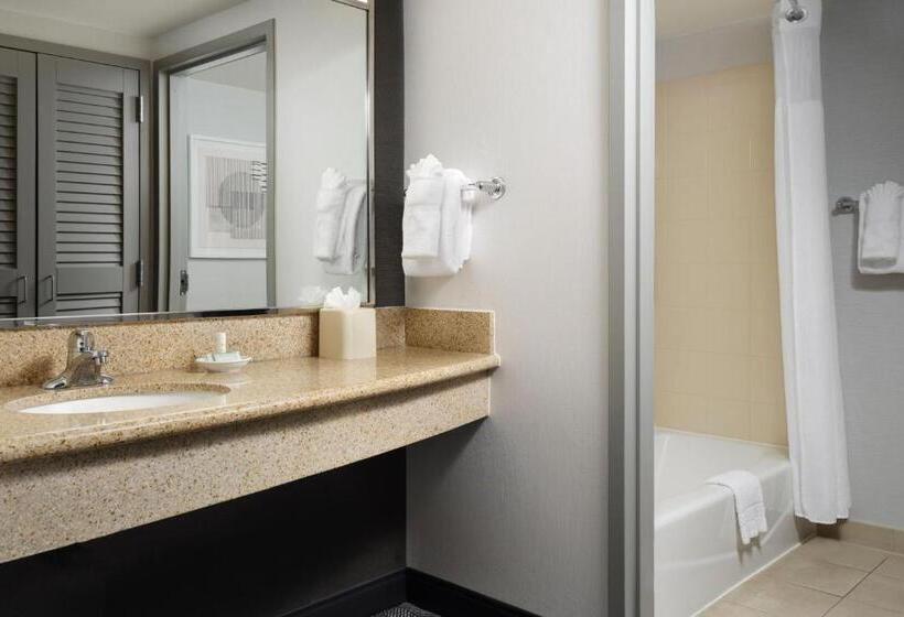 سوئیت با تخت بزرگ, Courtyard By Marriott Washington Capitol Hill/navy Yard
