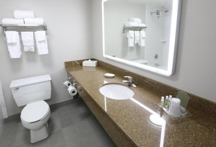 חדר סטנדרט עם מיטת קינג, Holiday Inn O Hare Area, An Ihg